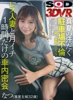 【VR】真夏の汗だく駐車場不倫 出会って…  13dsvr01454